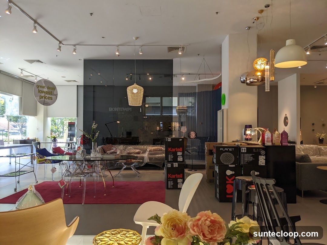 Modern Furniture Showroom
