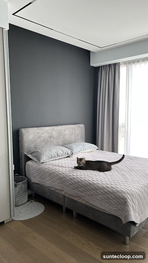 Cat on a bed