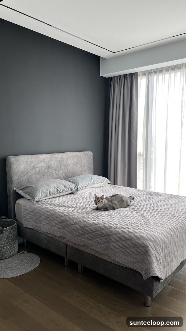 Modern Bedroom with Cat