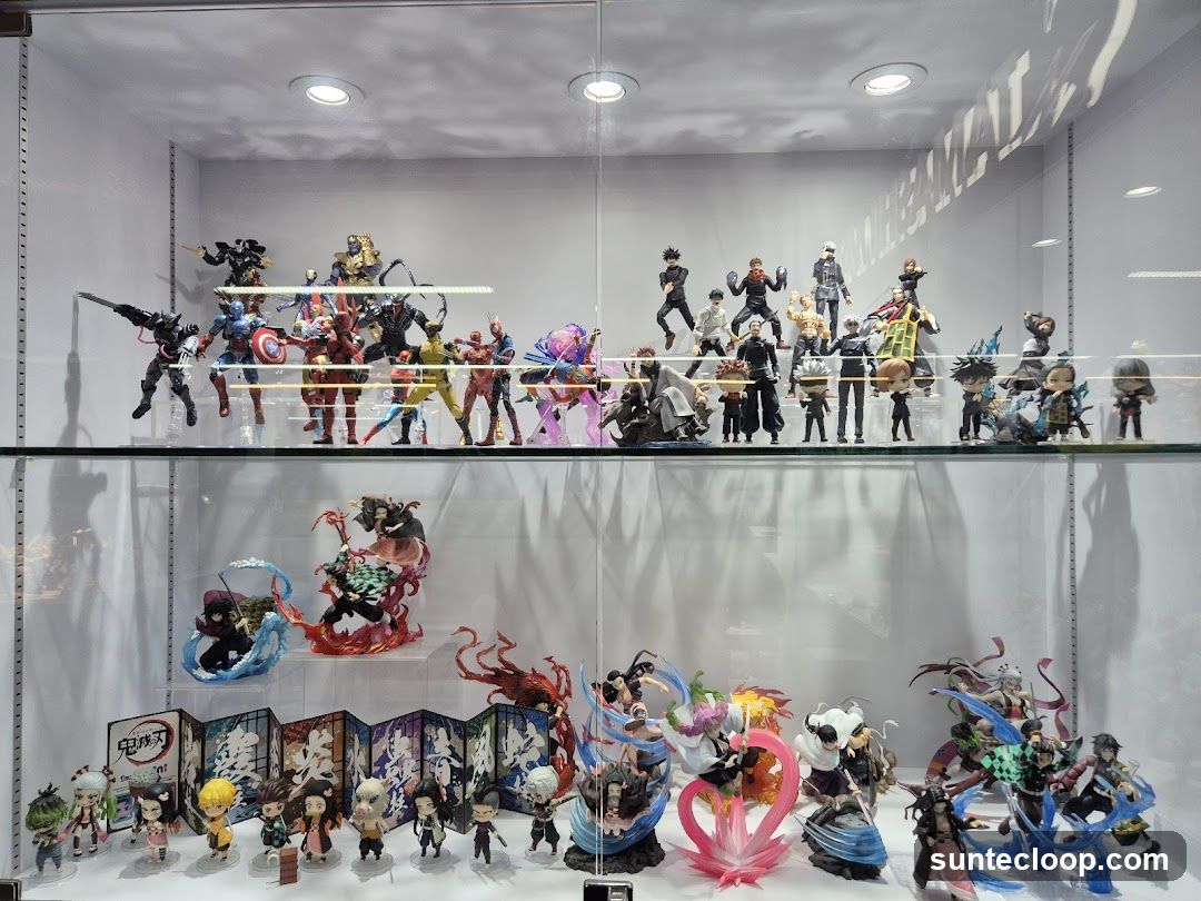 Display Case of Anime and Comic Book Figurines