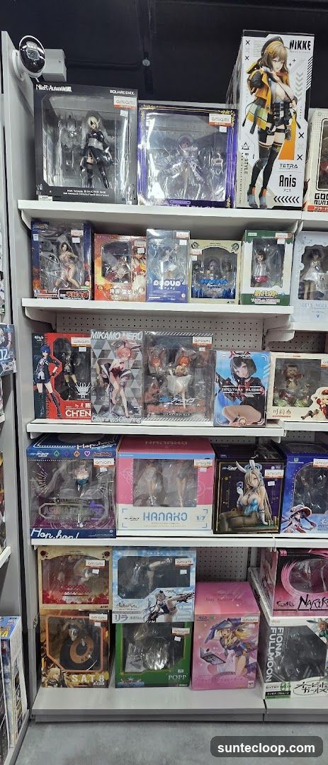 Anime Figures Display
