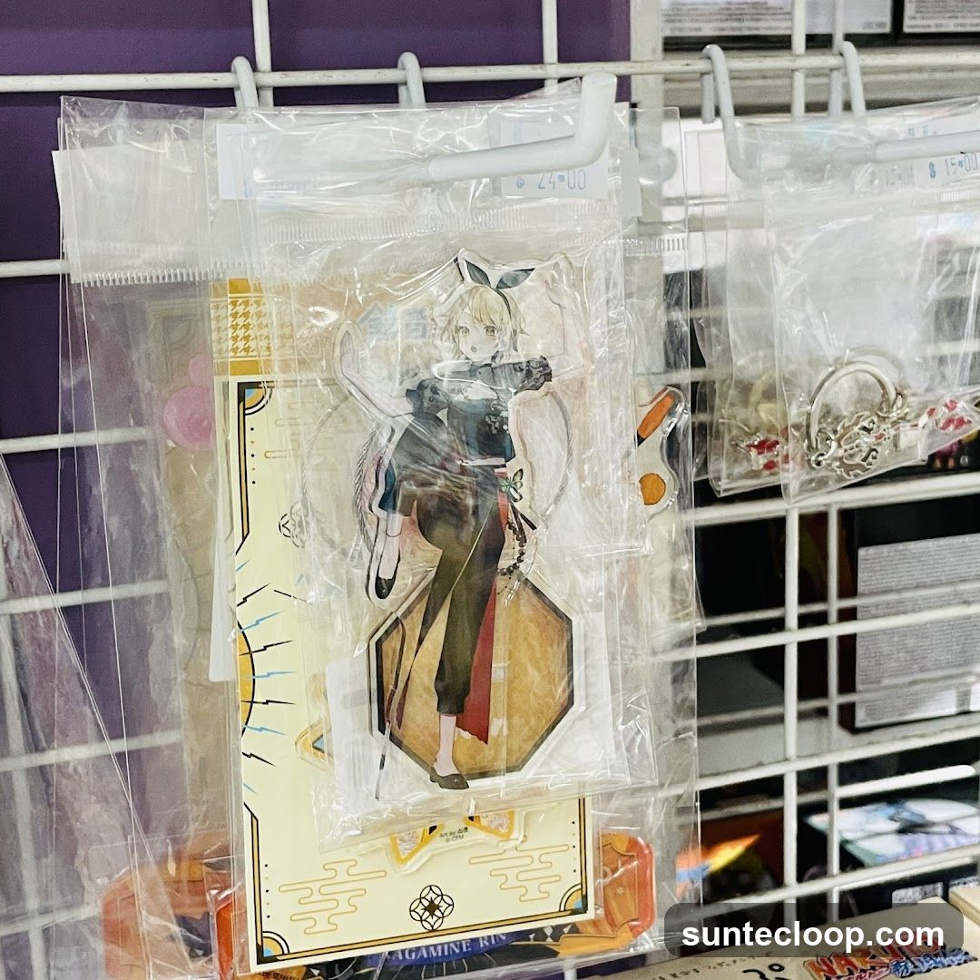 Anime Merchandise Display
