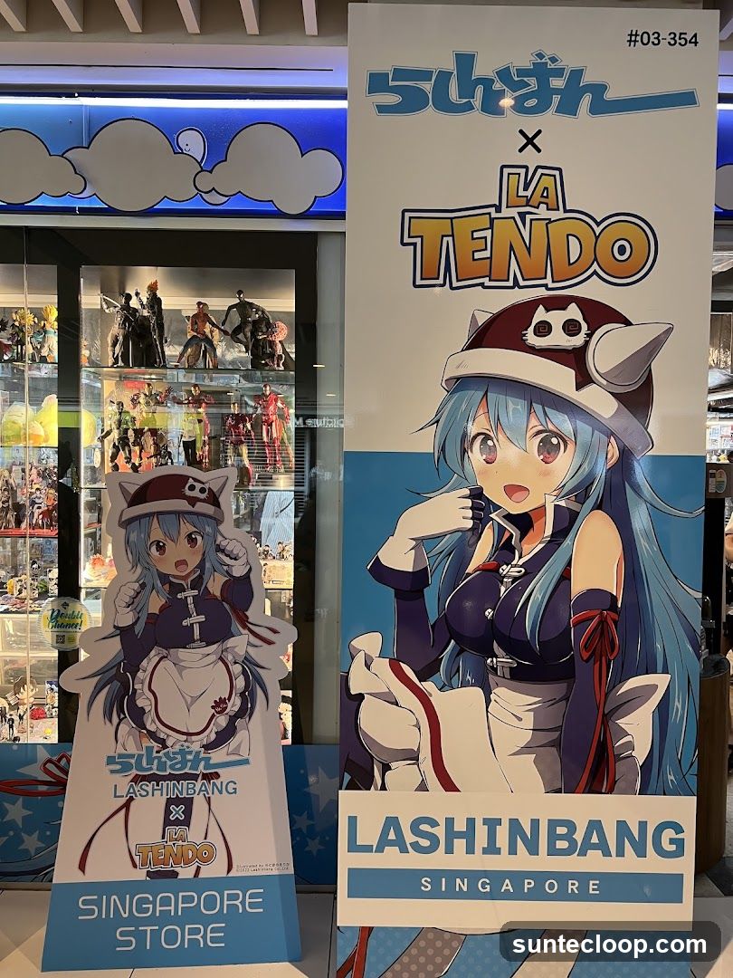 Anime Store Display