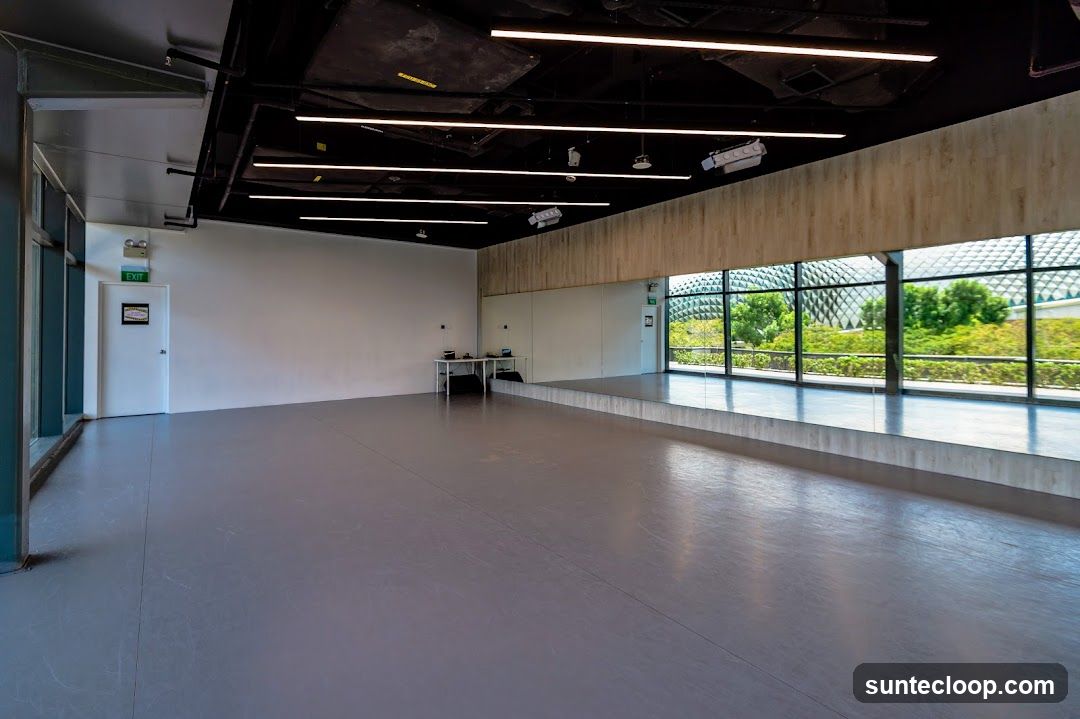 Empty Dance Studio with Mirrors
