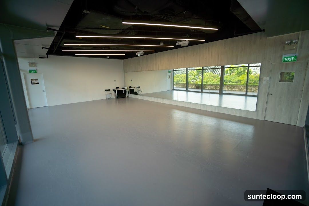Dance Studio with Mirrors and Large Windows