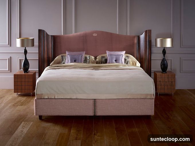 Luxurious Bedroom Setup