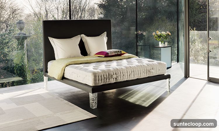 Modern Bedroom with Mattress