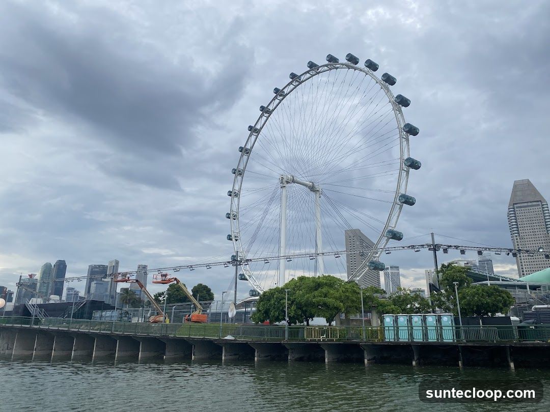 Ferris Wheel and City Skyline