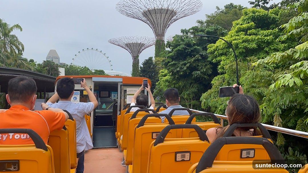 Tourists on an open-top bus