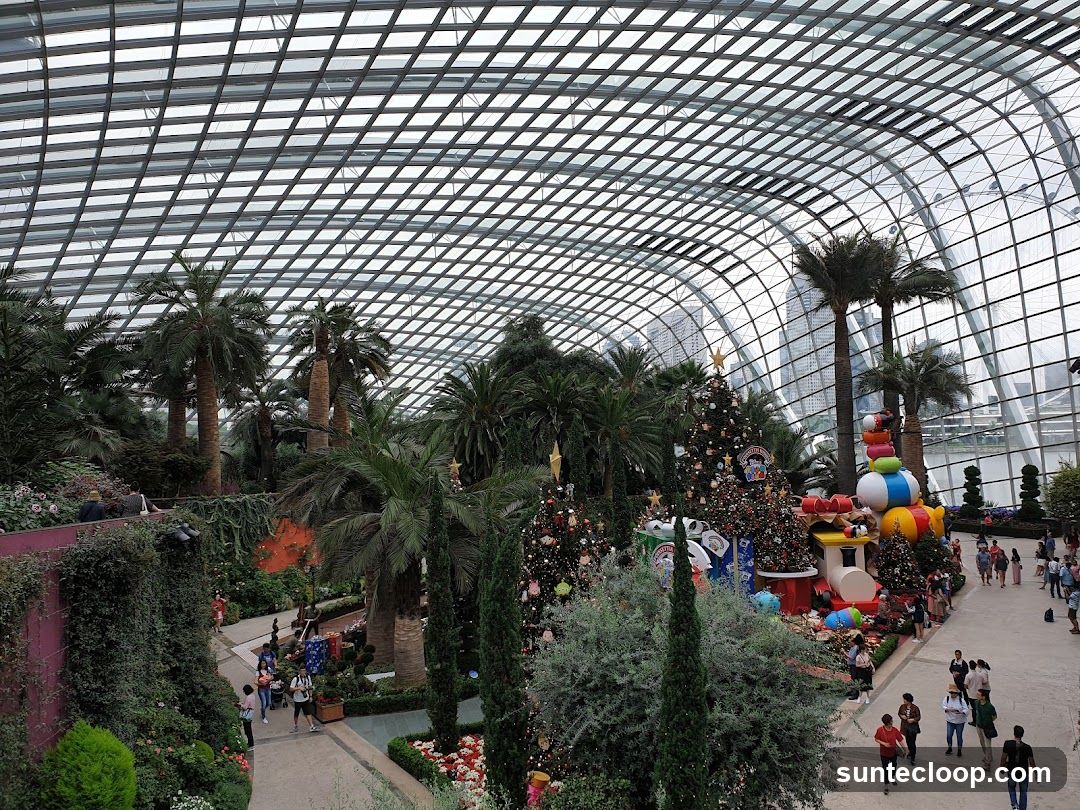Indoor Botanical Garden with Christmas Decorations