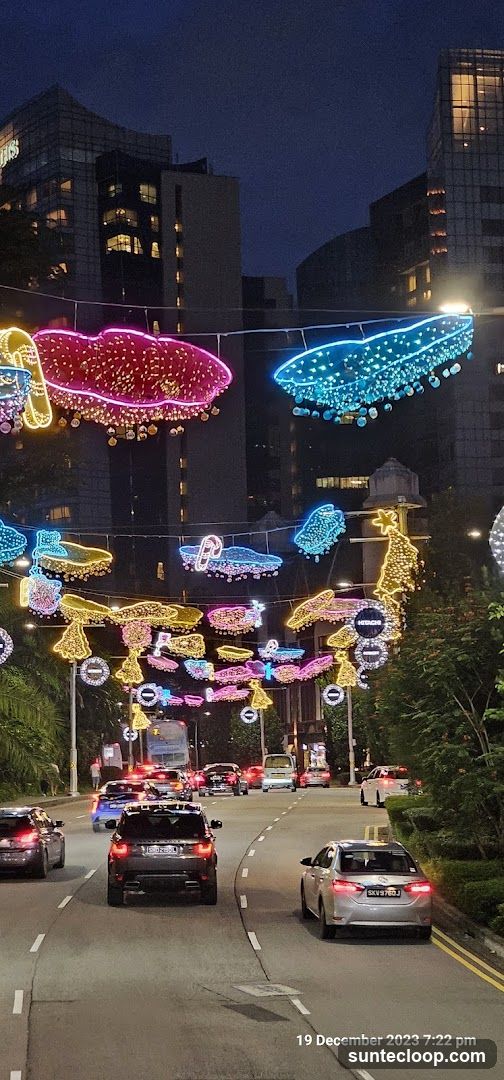 Street Lights and Traffic at Night