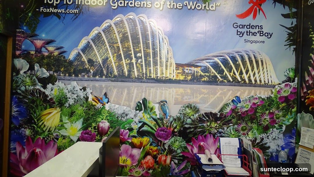 Gardens by the Bay Singapore