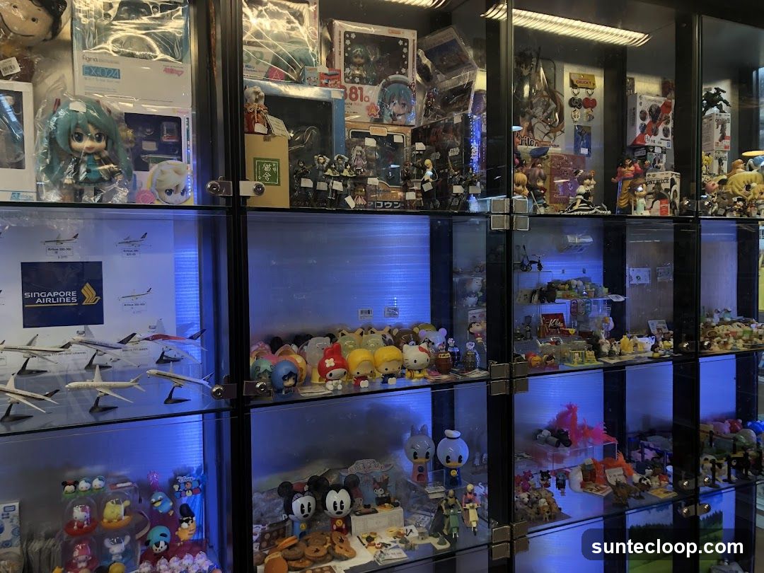 Display Cases Filled with Collectibles
