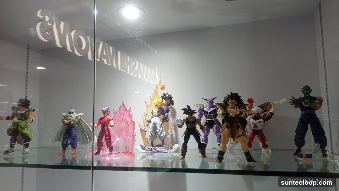 Dragon Ball Z Action Figures Display