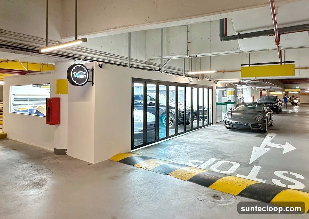 MintGroom Car Detailing