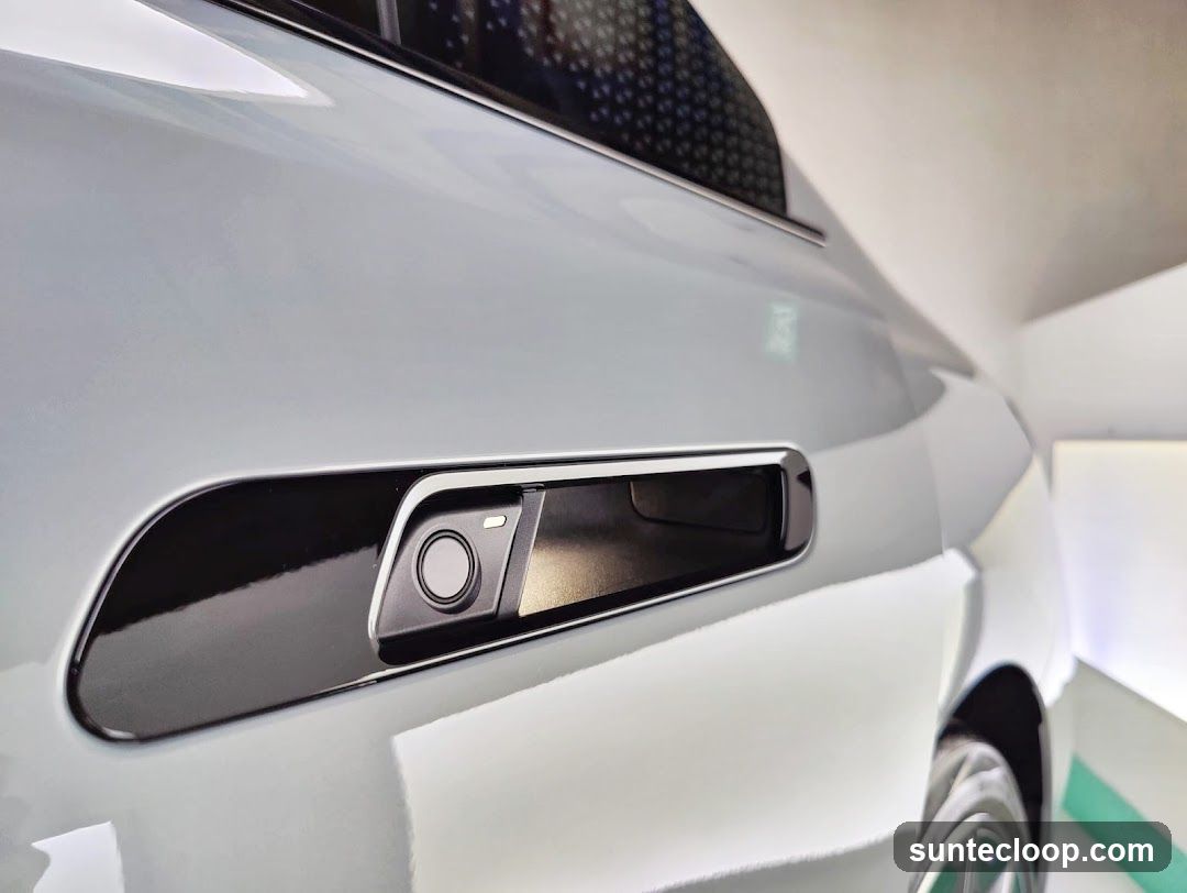 Car Door Handle Detail