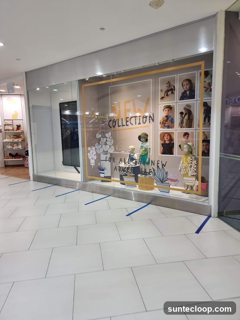 New Collection Display