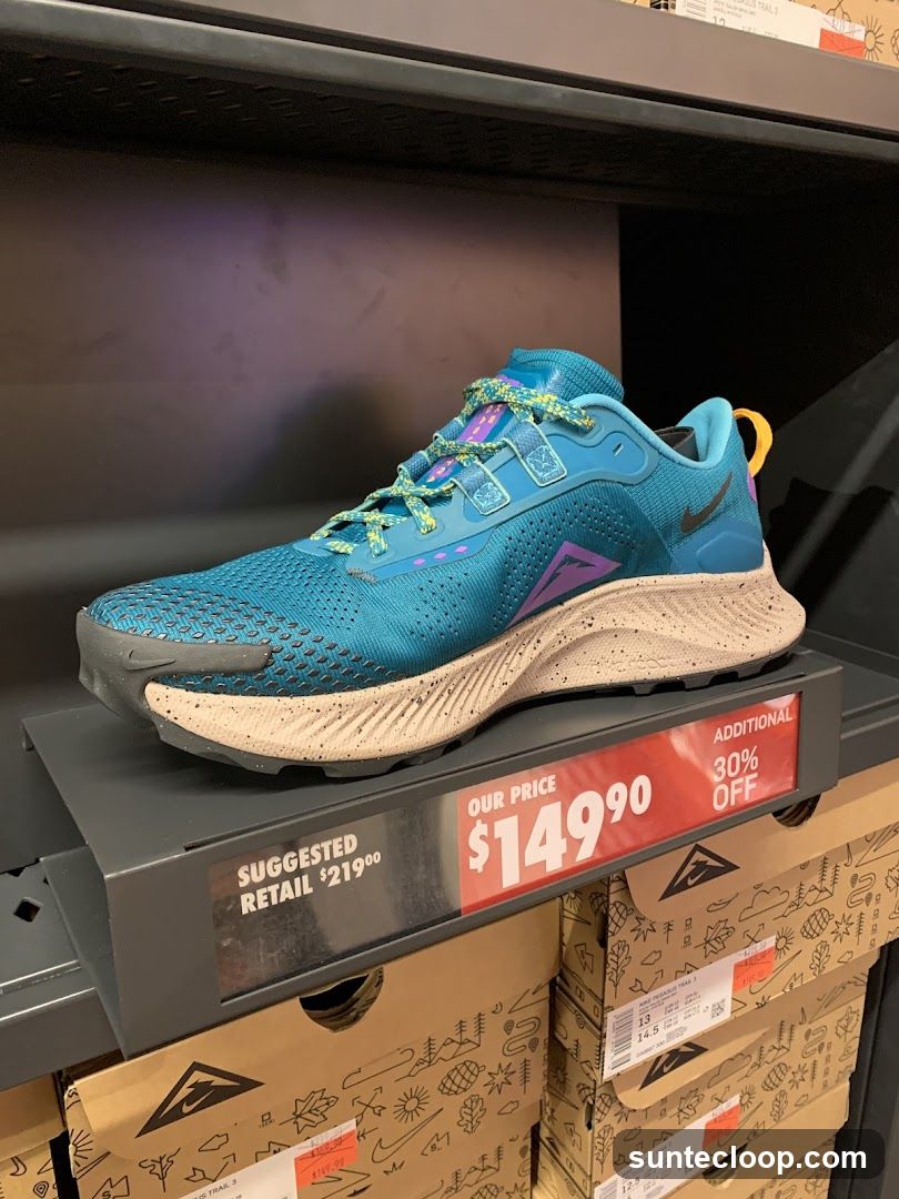 Nike Pegasus Trail 3 Shoe