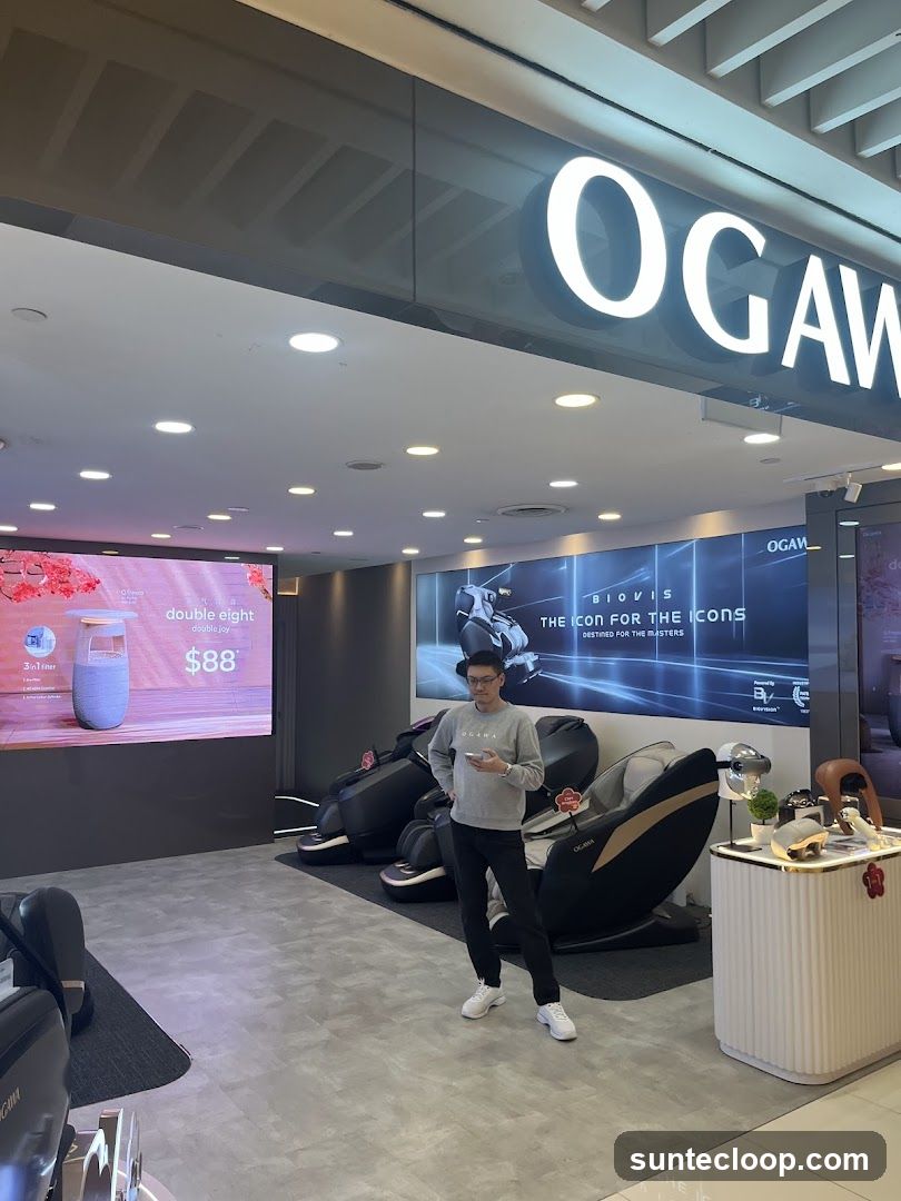 Ogawa (Suntec City)