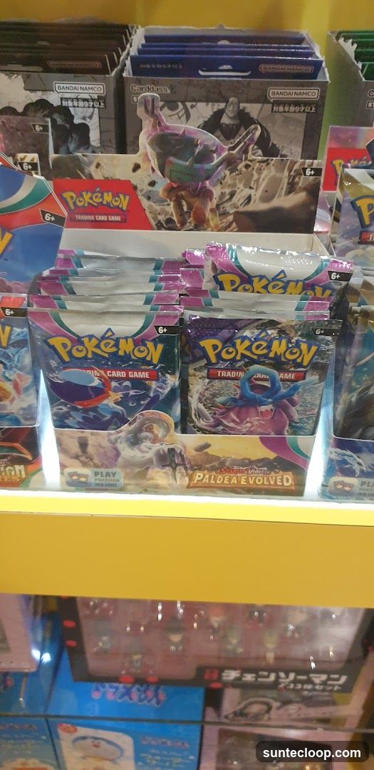 Pokemon Trading Card Game Display