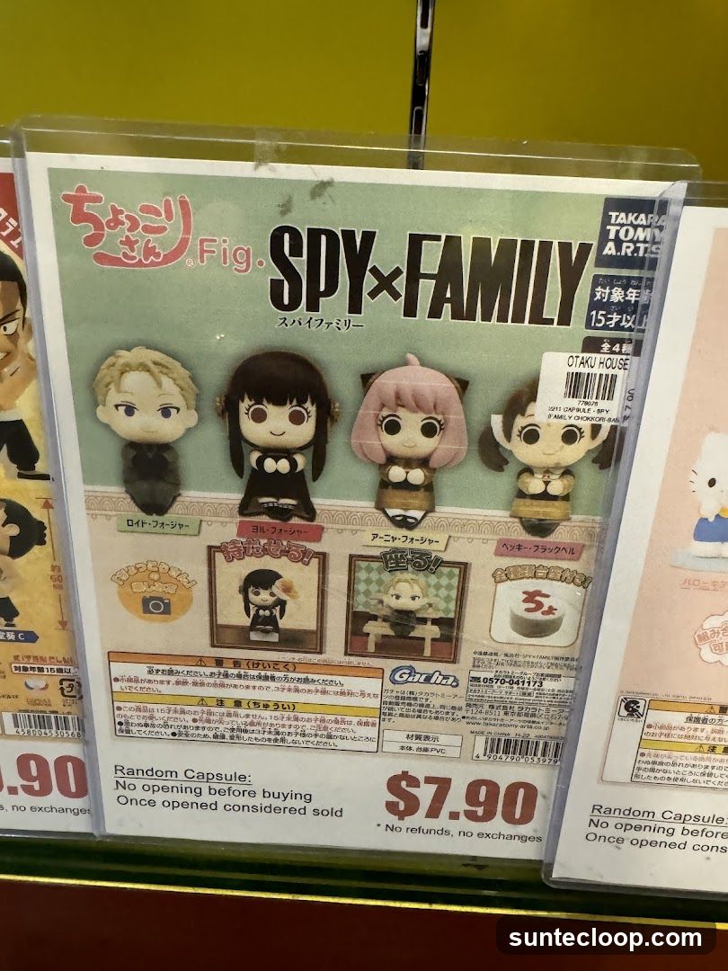 Spy x Family Chokorin Figures