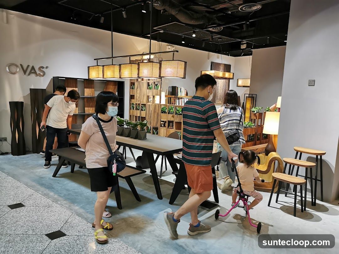 People browsing furniture store