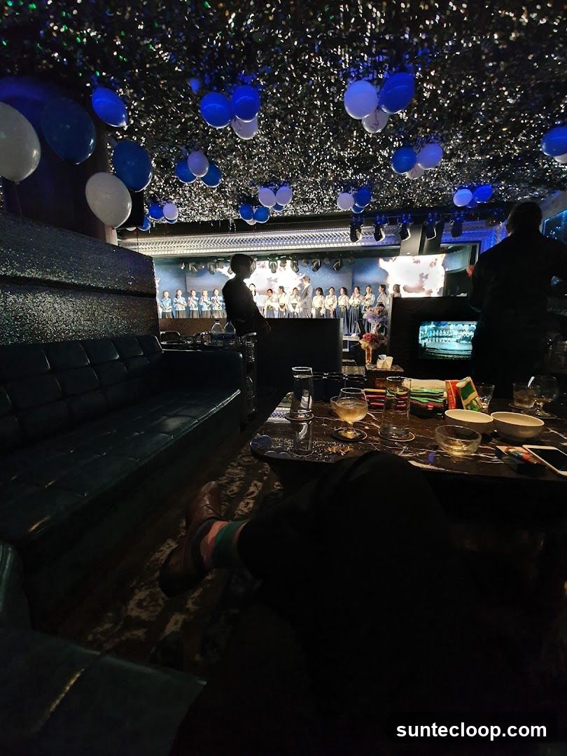 Karaoke Room with Performance