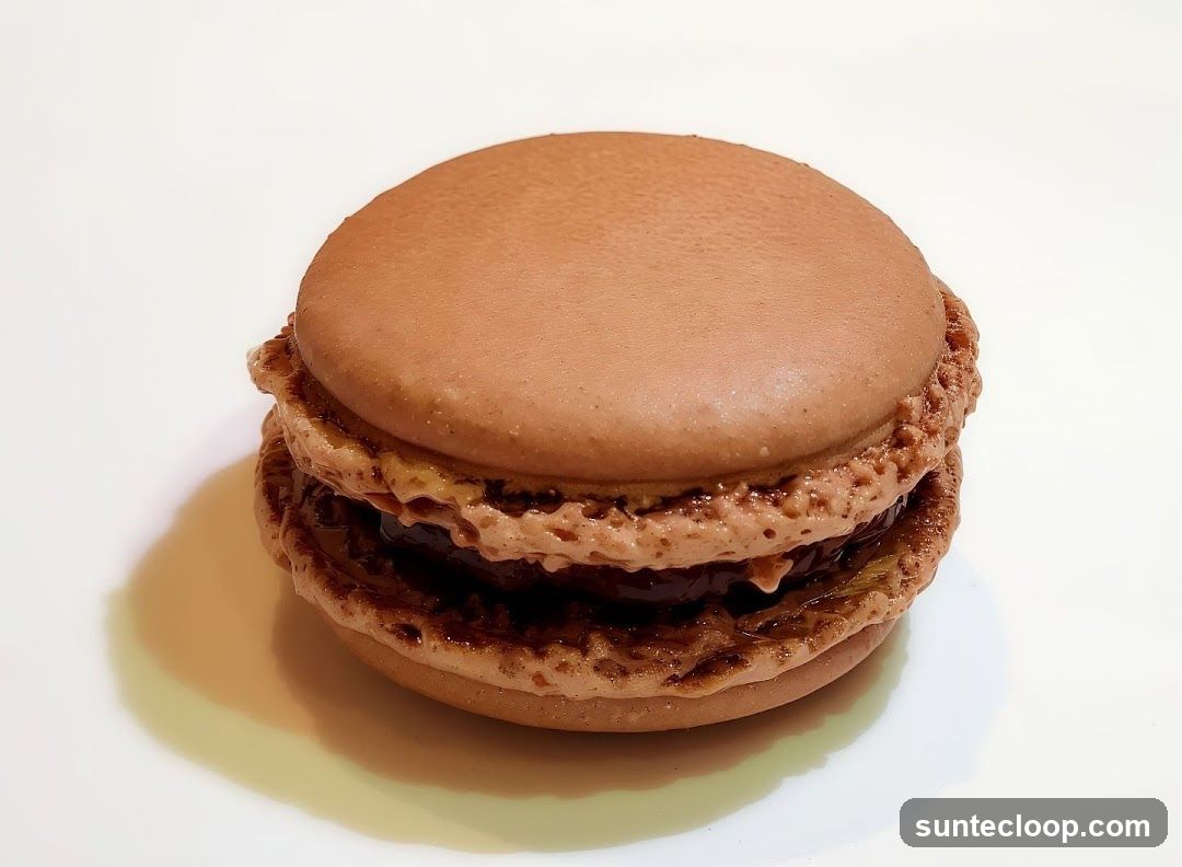 Chocolate Macaron