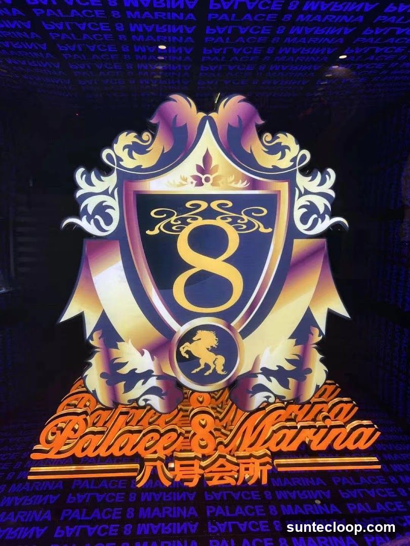 Palace 8 Marina Logo