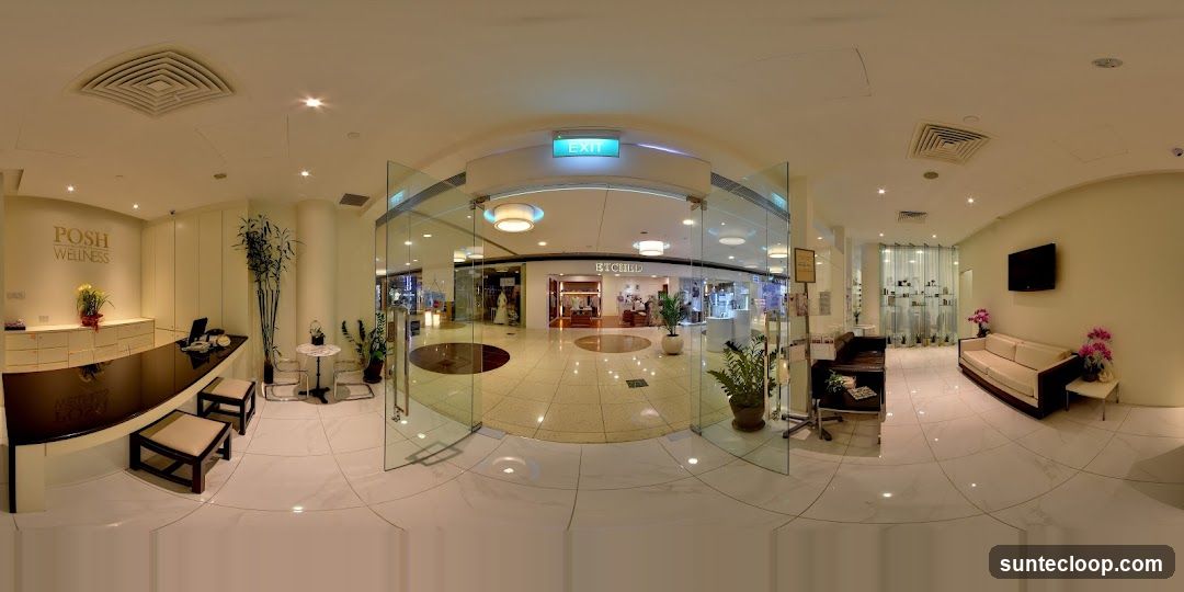 Posh Wellness Reception Area