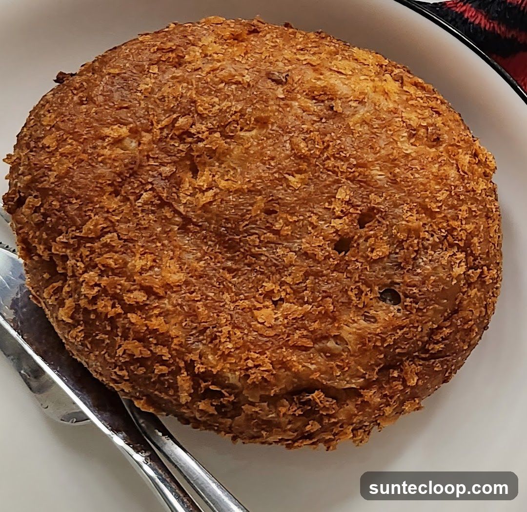 Fried Food Item