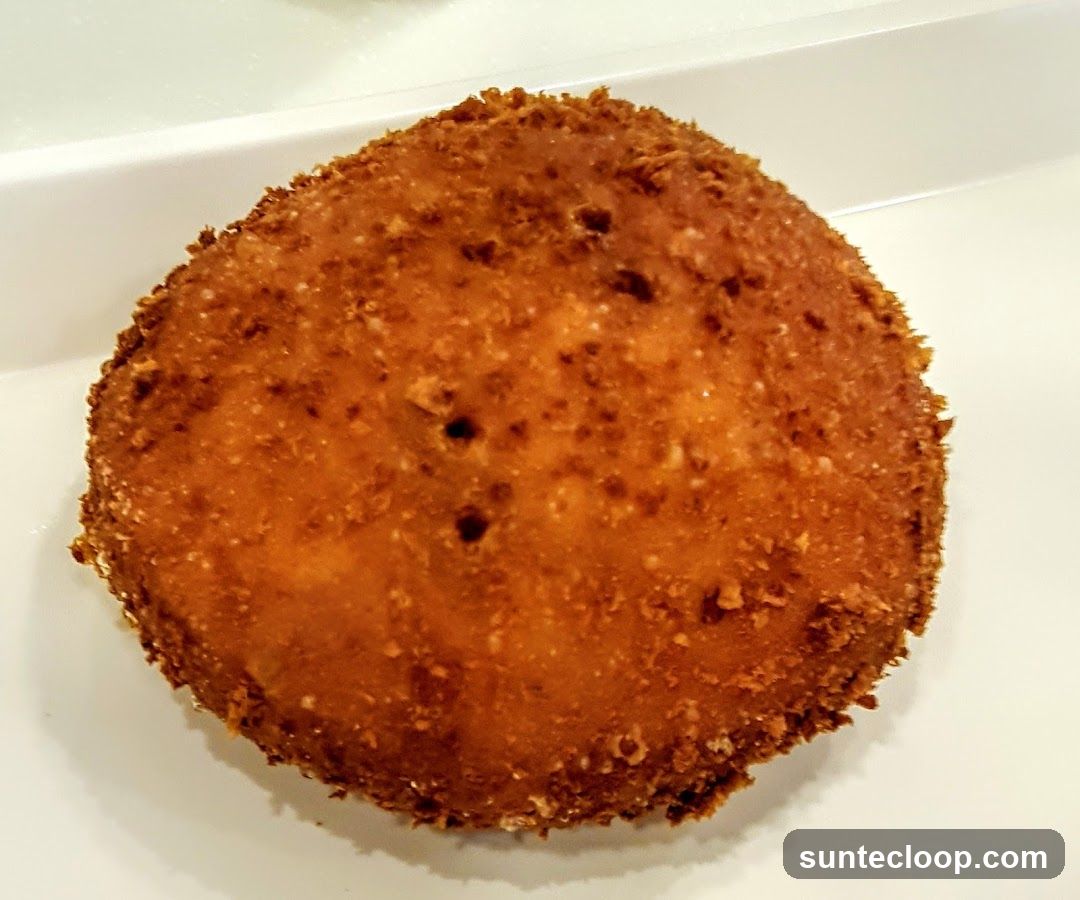 Fried Food Item
