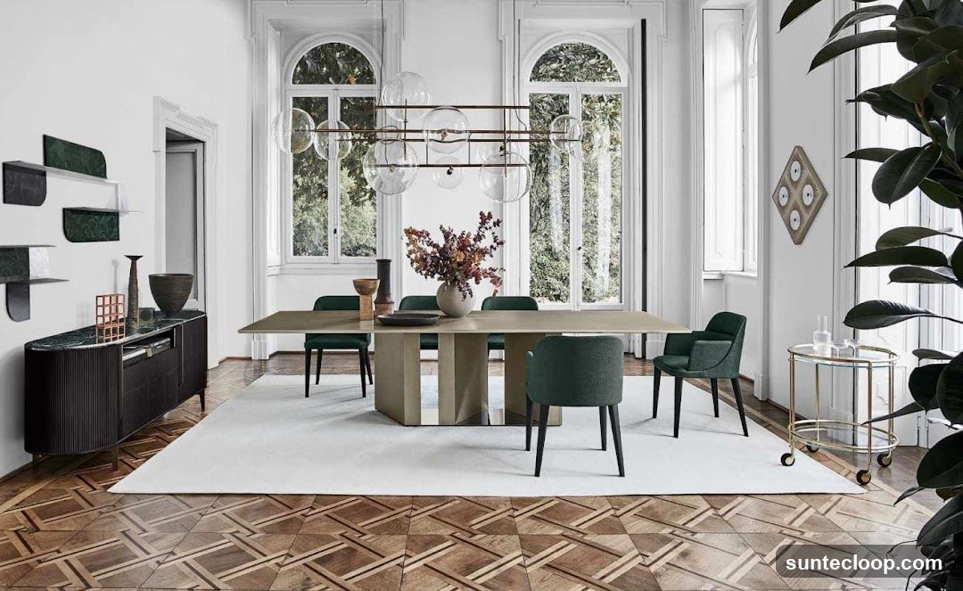 Modern Dining Room with Elegant Furniture