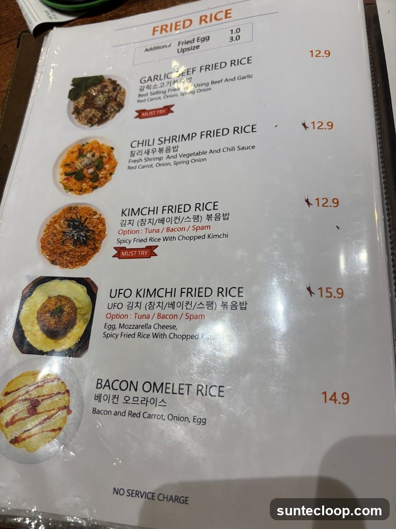 FRIED RICE
