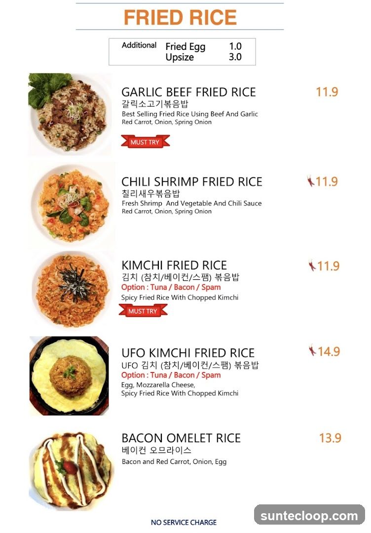FRIED RICE