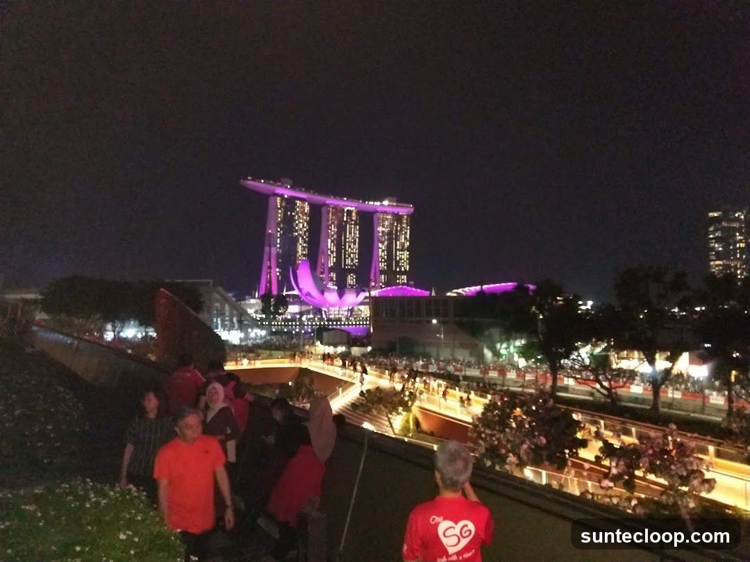 Night view of Marina Bay Sands