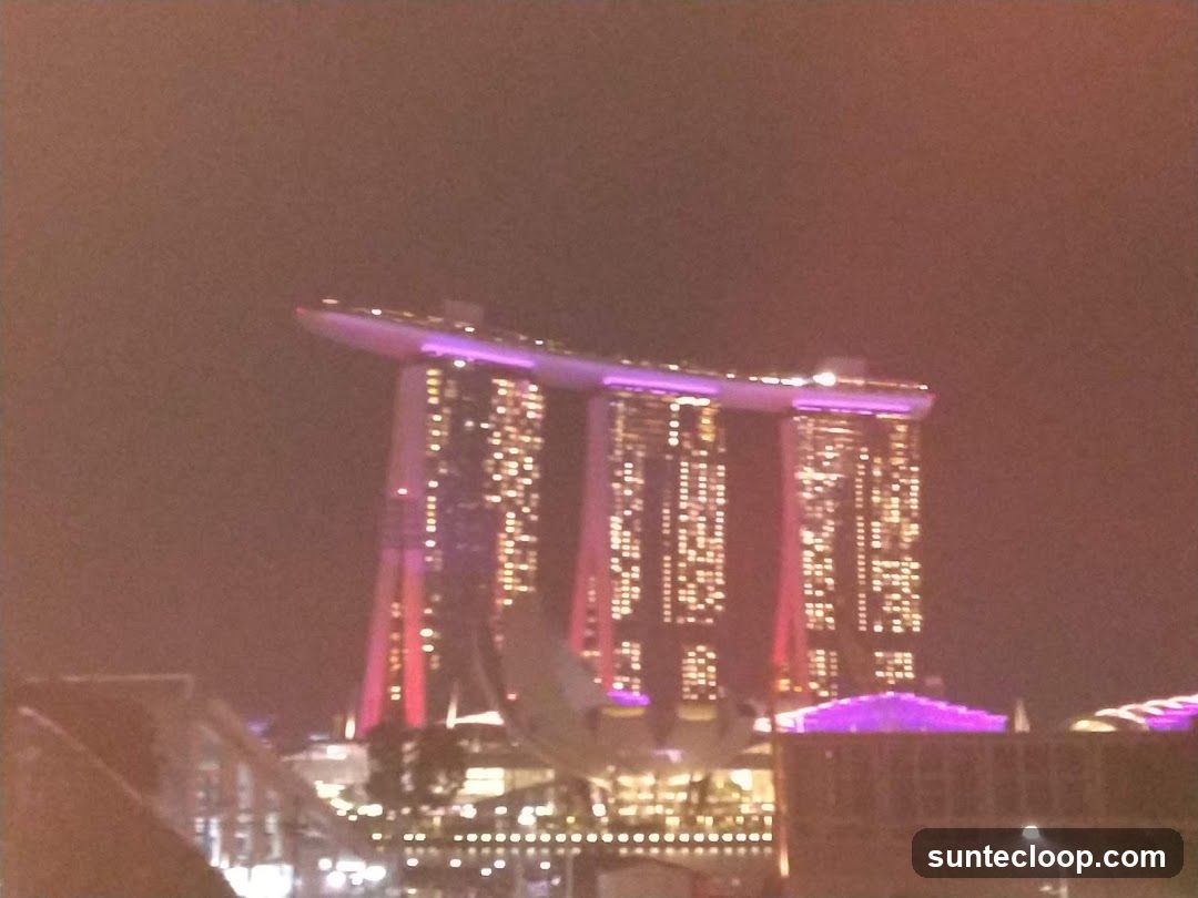 Marina Bay Sands at Night