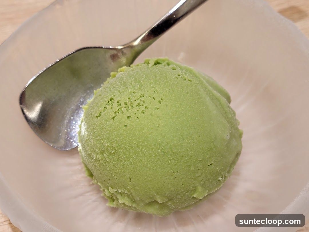 Green Ice Cream Scoop