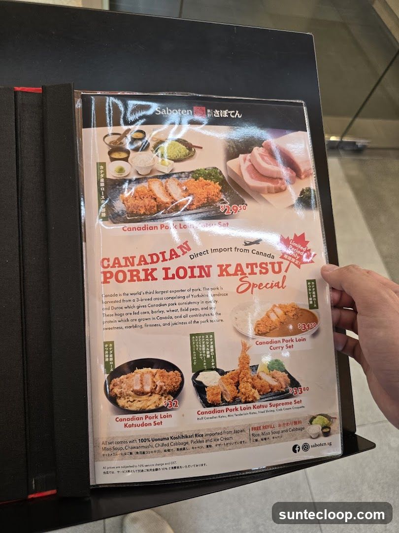Saboten Canadian Pork Loin Katsu Special