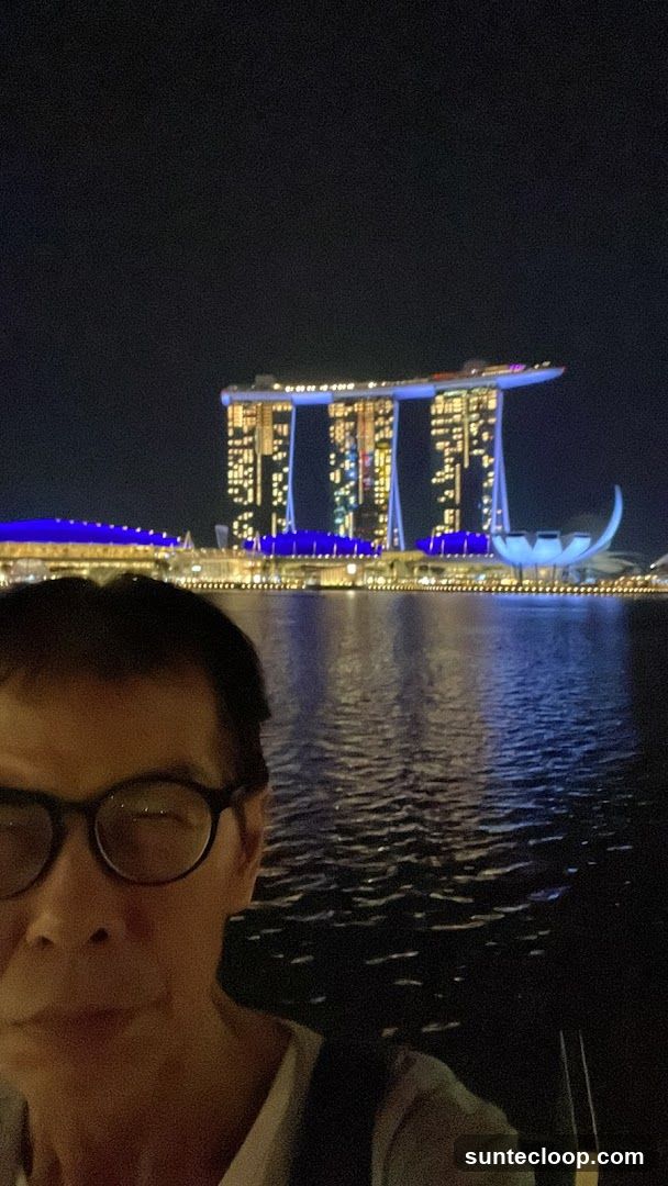 Night view of Marina Bay Sands
