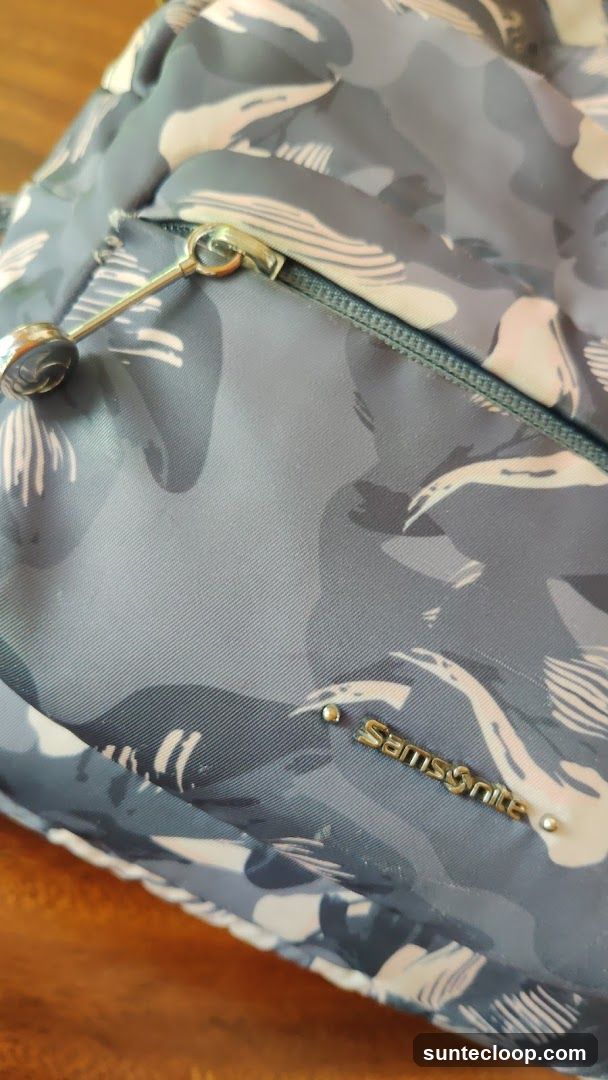 Samsonite Bag