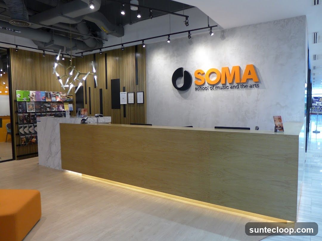 SOMA School of Music and the Arts Reception