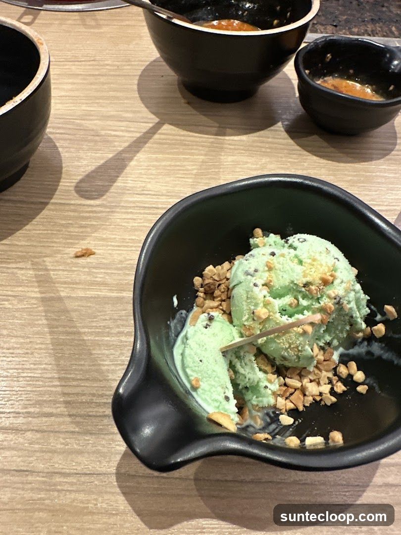 Mint Chocolate Chip Ice Cream with Nuts