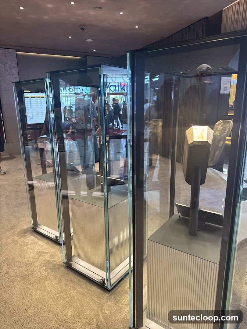 Display Cases with Items