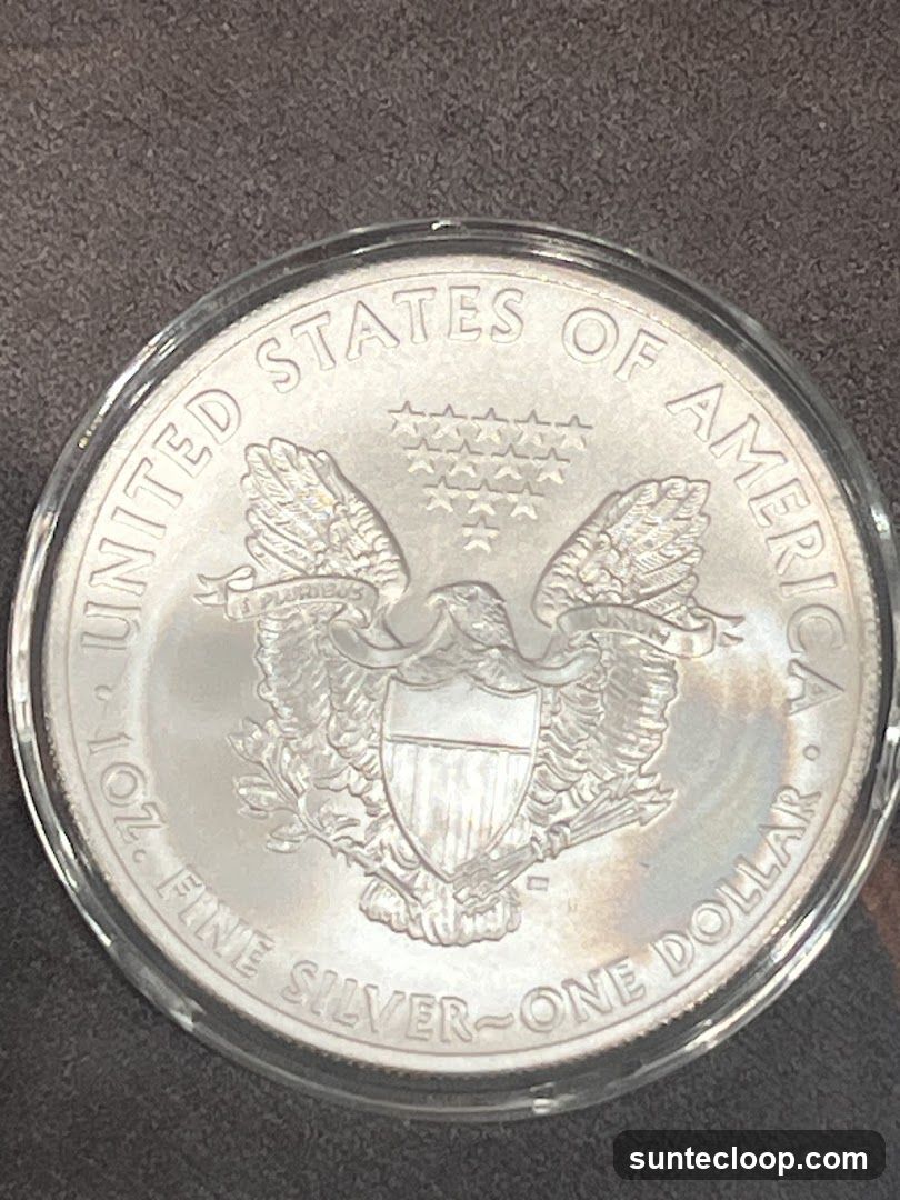 American Silver Eagle Coin