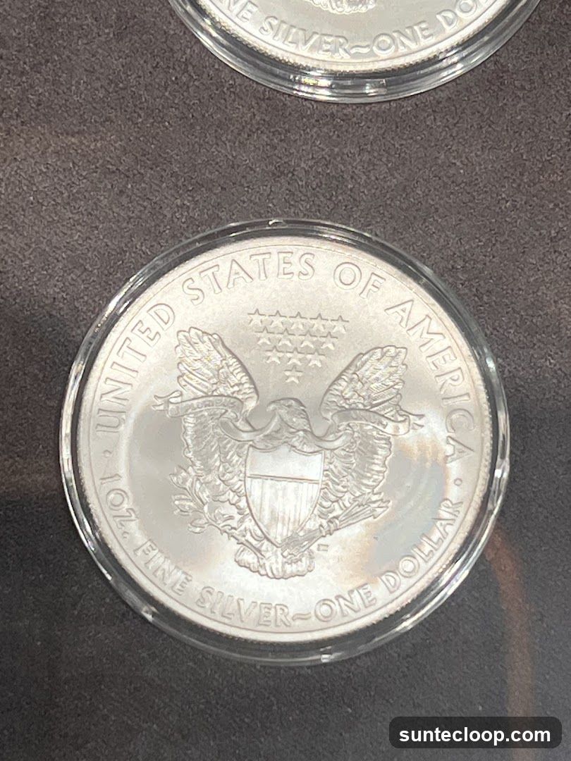 Silver Dollar Coin