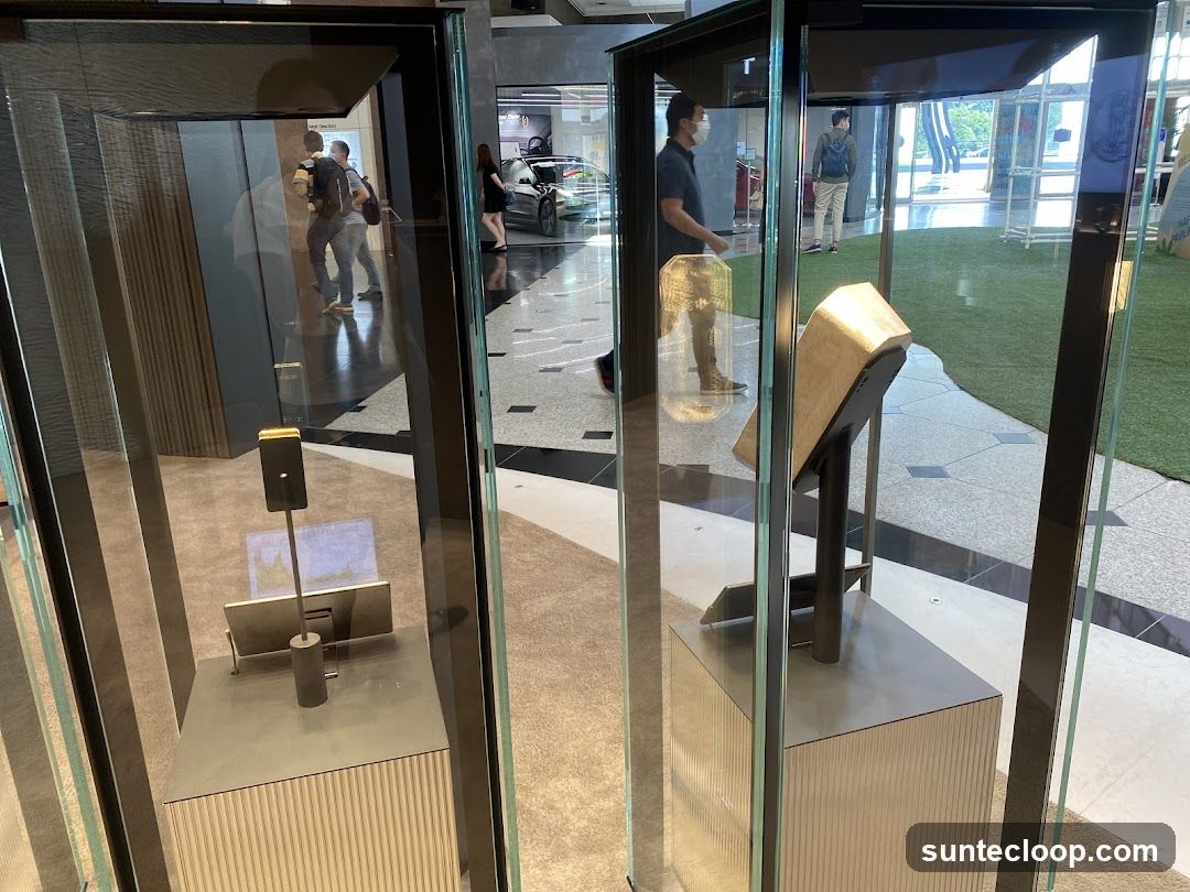 Modern Display Cases