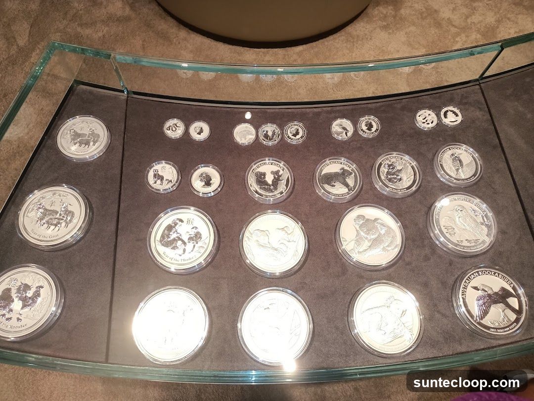 Coin Display