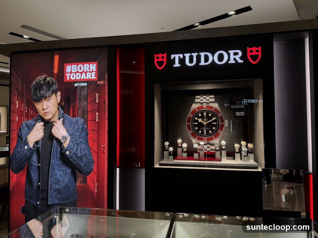 Tudor Watch Display
