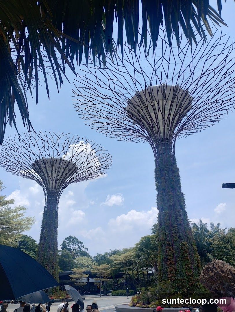 Gardens by the Bay Supertrees